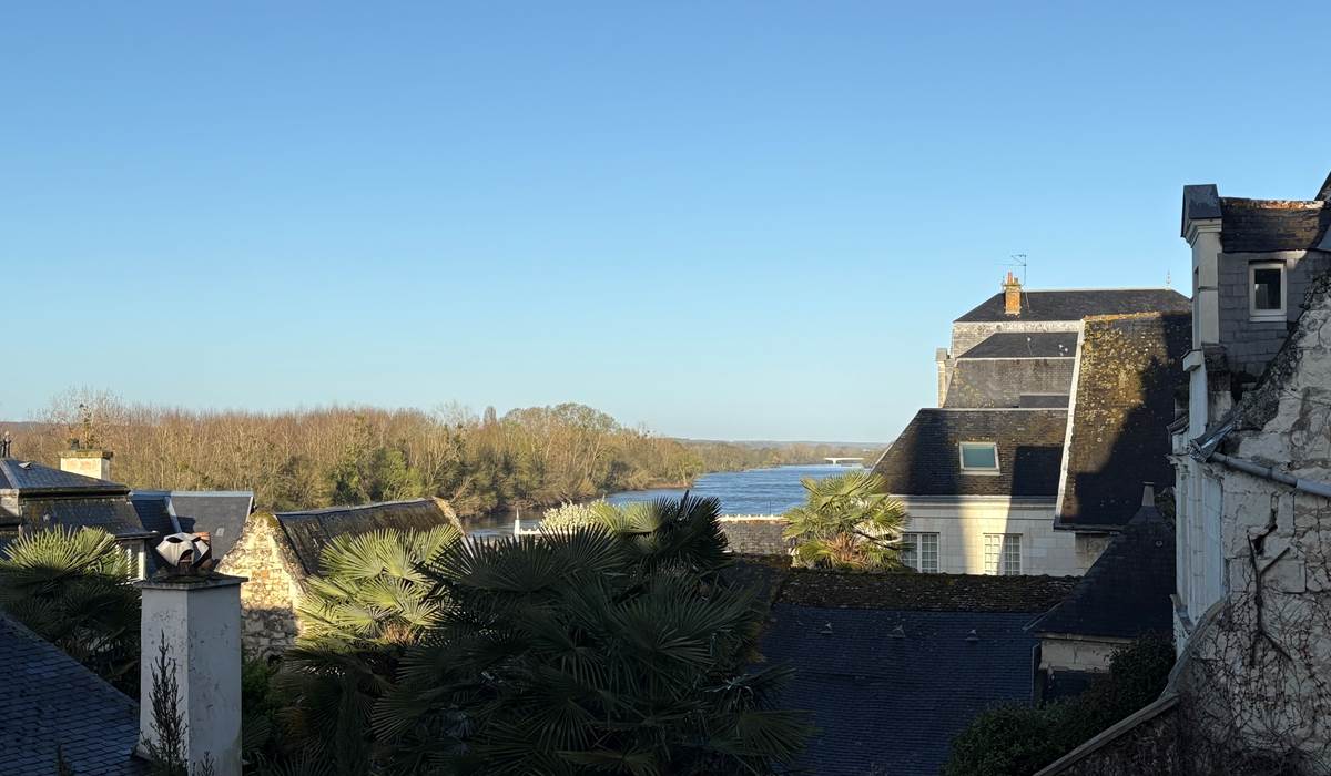 gite-deux-couronnes-chinon-vue vienne