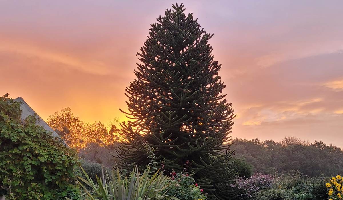 Coucher de soleil sur le spa