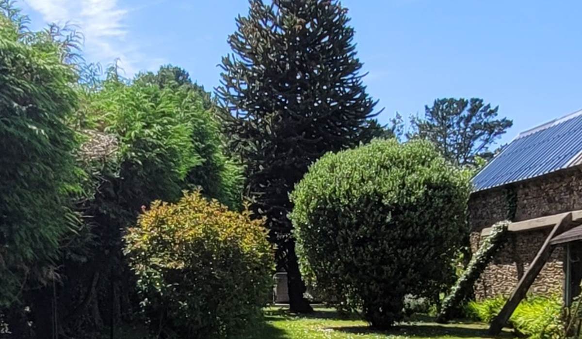 Le jardin