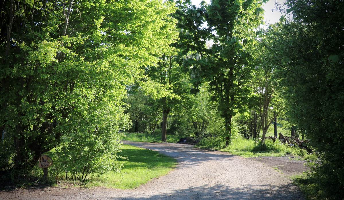 Chemin d'accès
