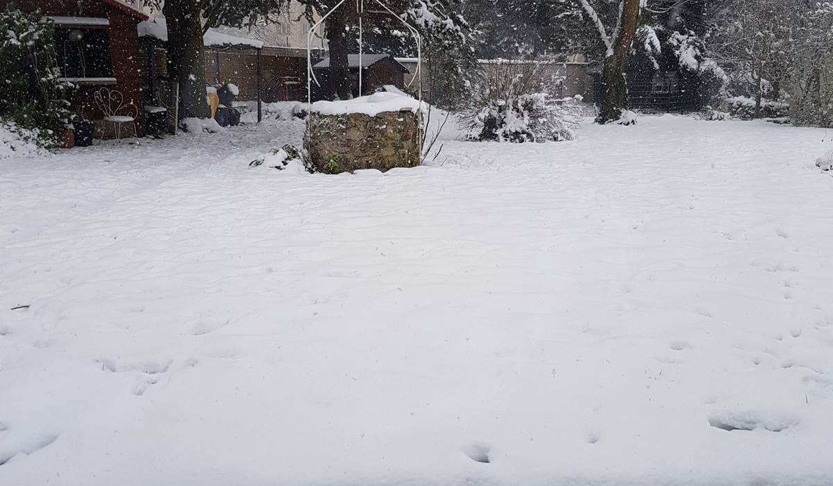 JARDIN SOUS LA NEIGE