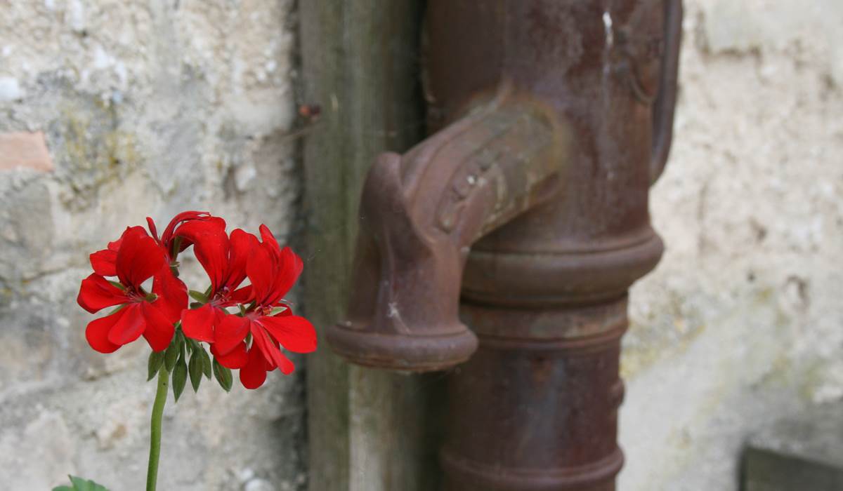 Détail de la pompe
