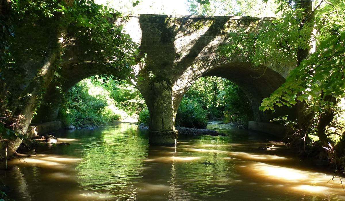 La Cozanne, rivière à Nolay, proche Beaune