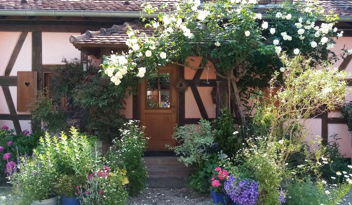 L'entrée fleurie de la maison