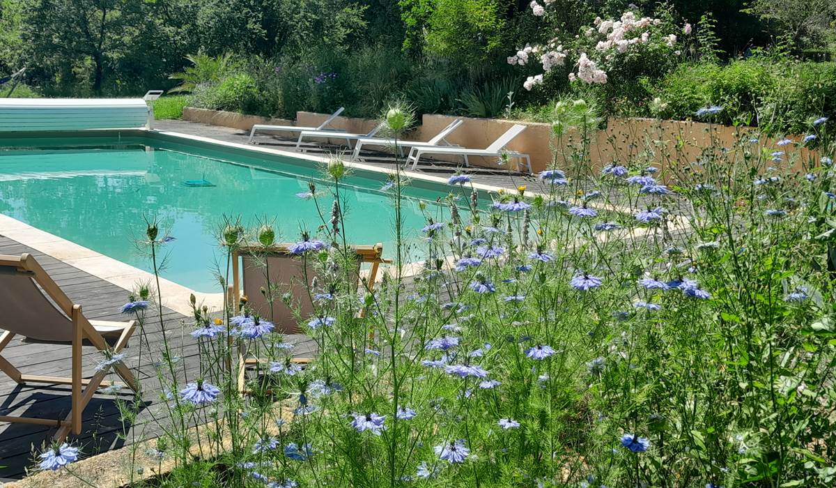 Domaine_de_Calabel©_Pouylebon_vacances_piscine_gers