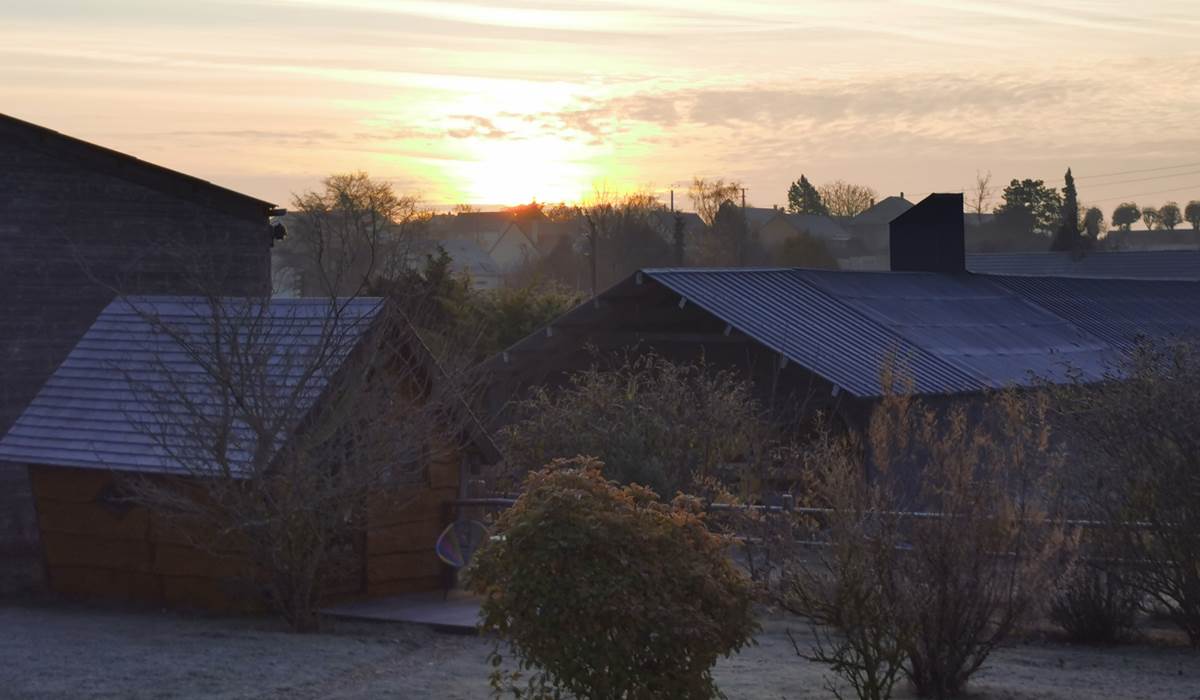 Un matin d'hiver