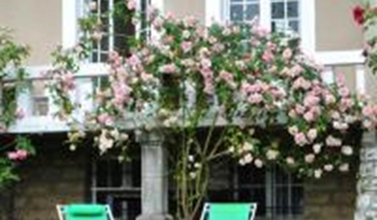 rosiers roses