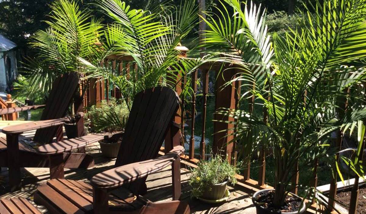 L'Ile de Garde B&B la terrasse