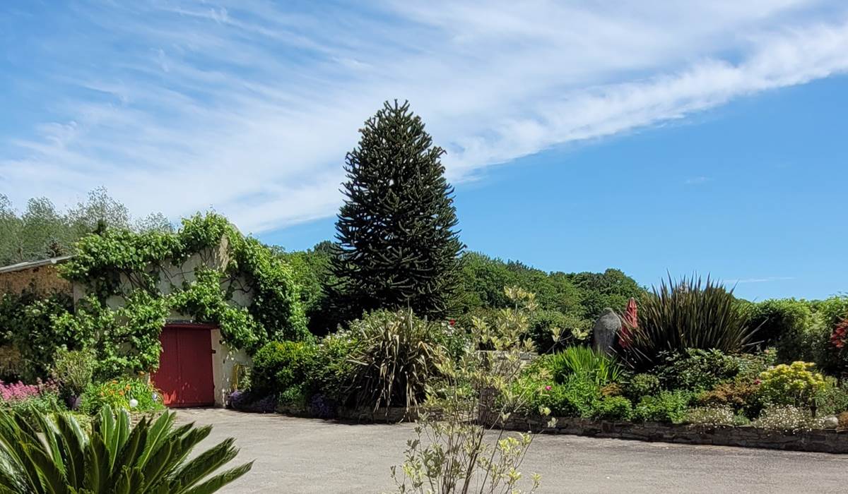 Depuis le salon de la terrasse