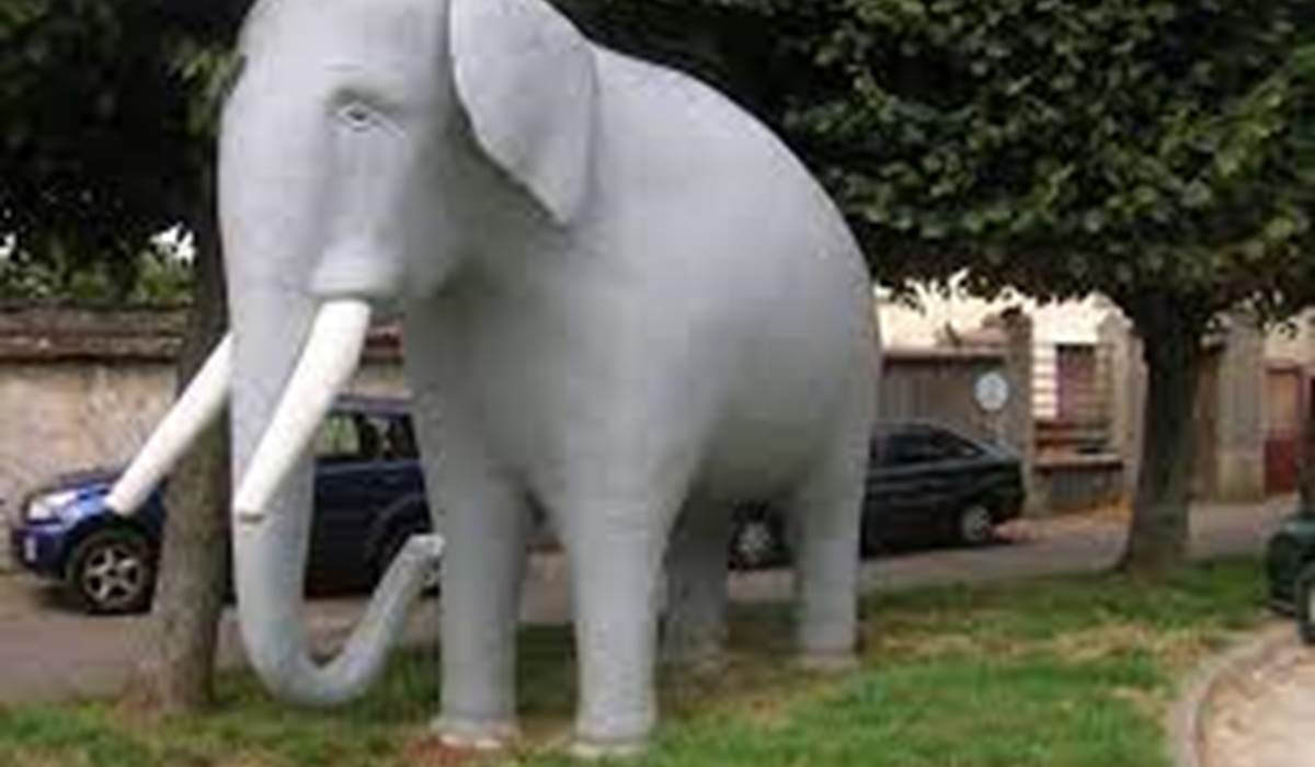 ELEPHANT EMBLEME DE NOTRE QUARTIER