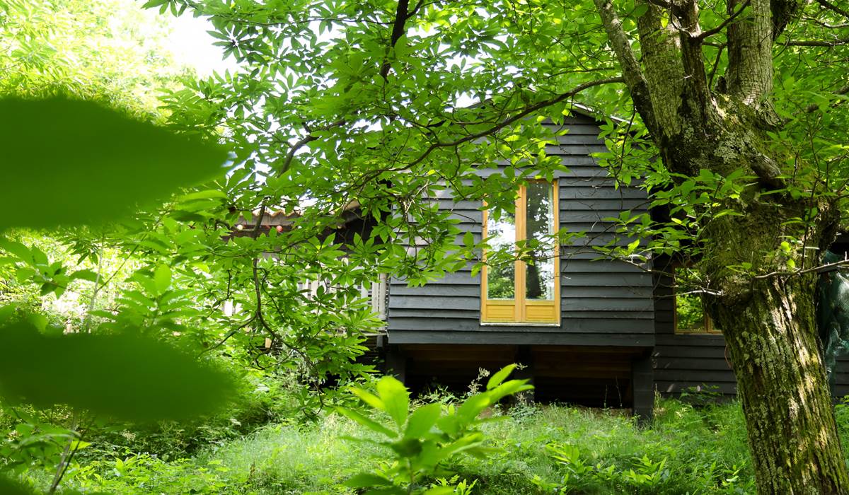 Chalet Canopée, la tête dans les châtaigniers