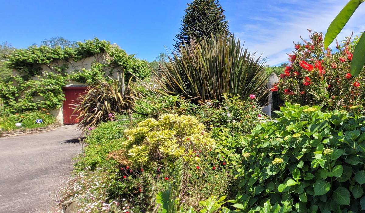 Le jardin