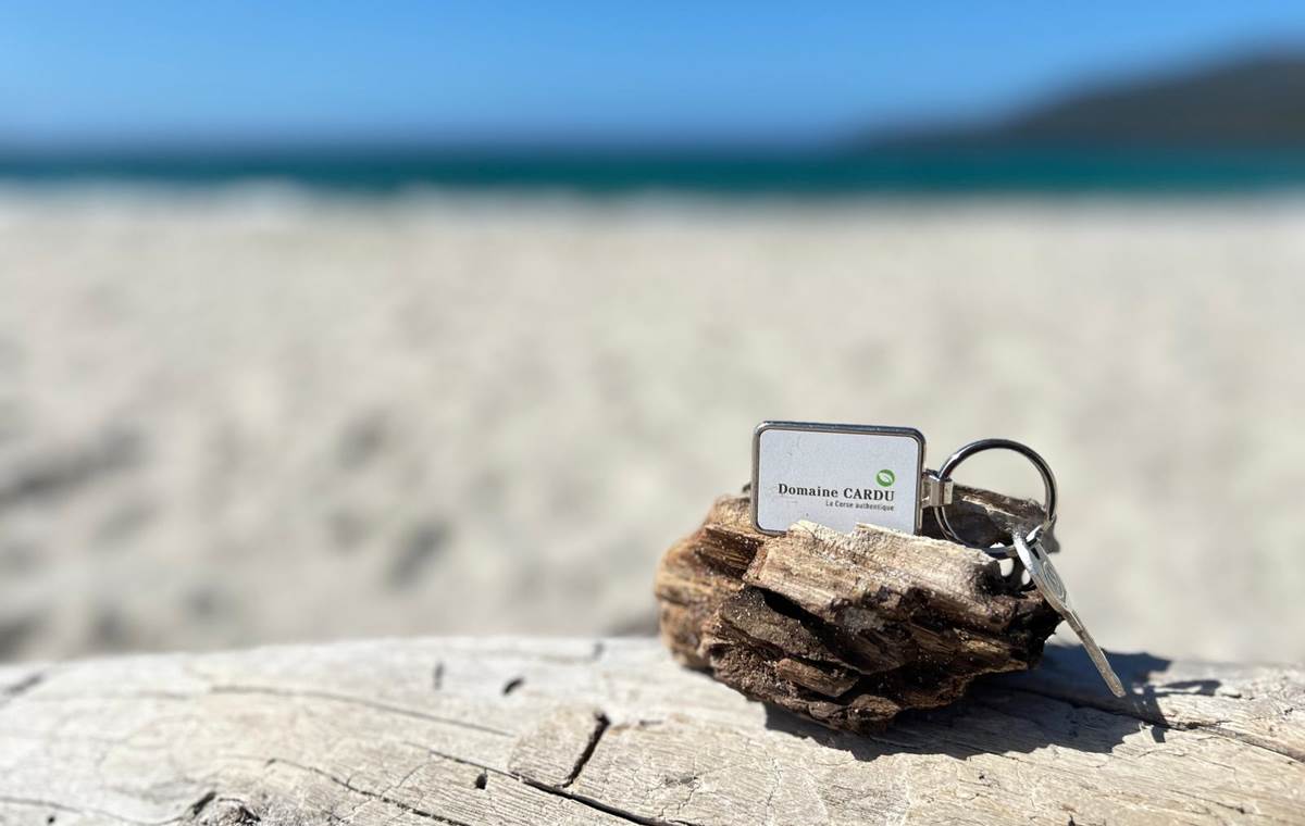 Porte-clés du Domaine Cardu posé sur un bois flotté, sur une plage de Corse, symbole d'un séjour authentique et relaxant.