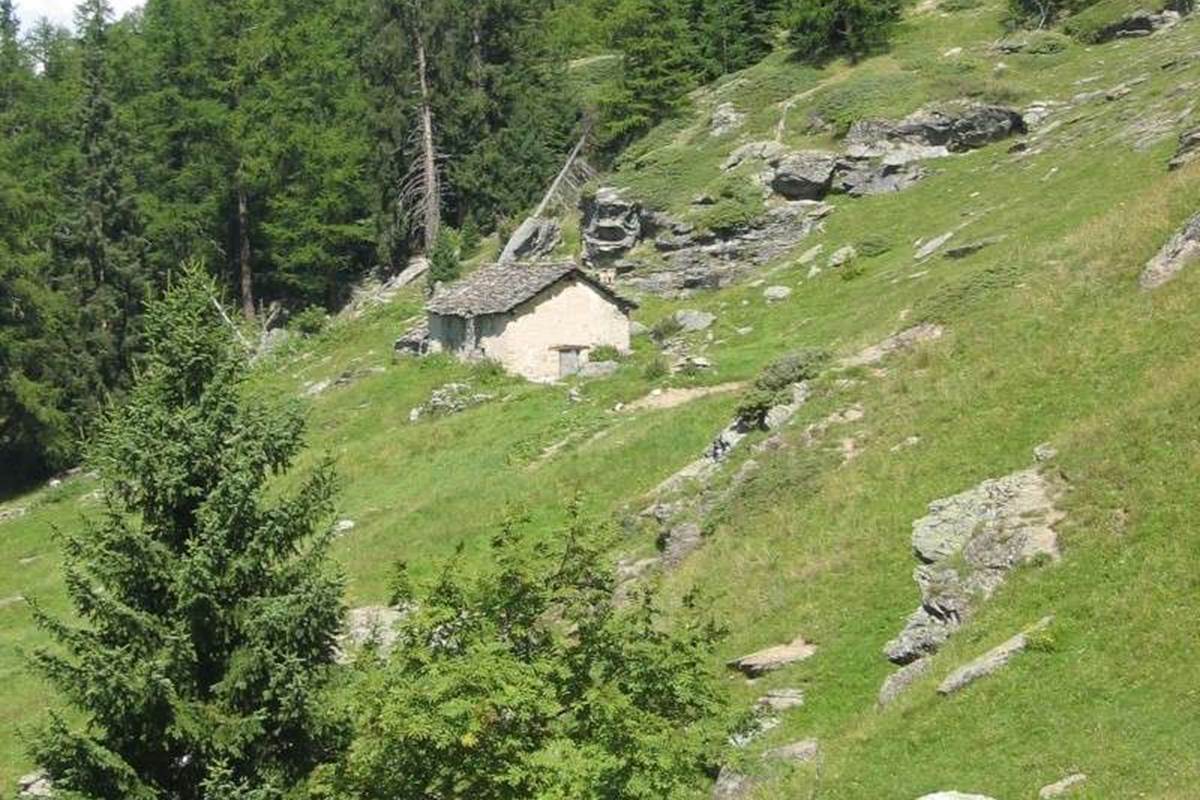 bergerie davie