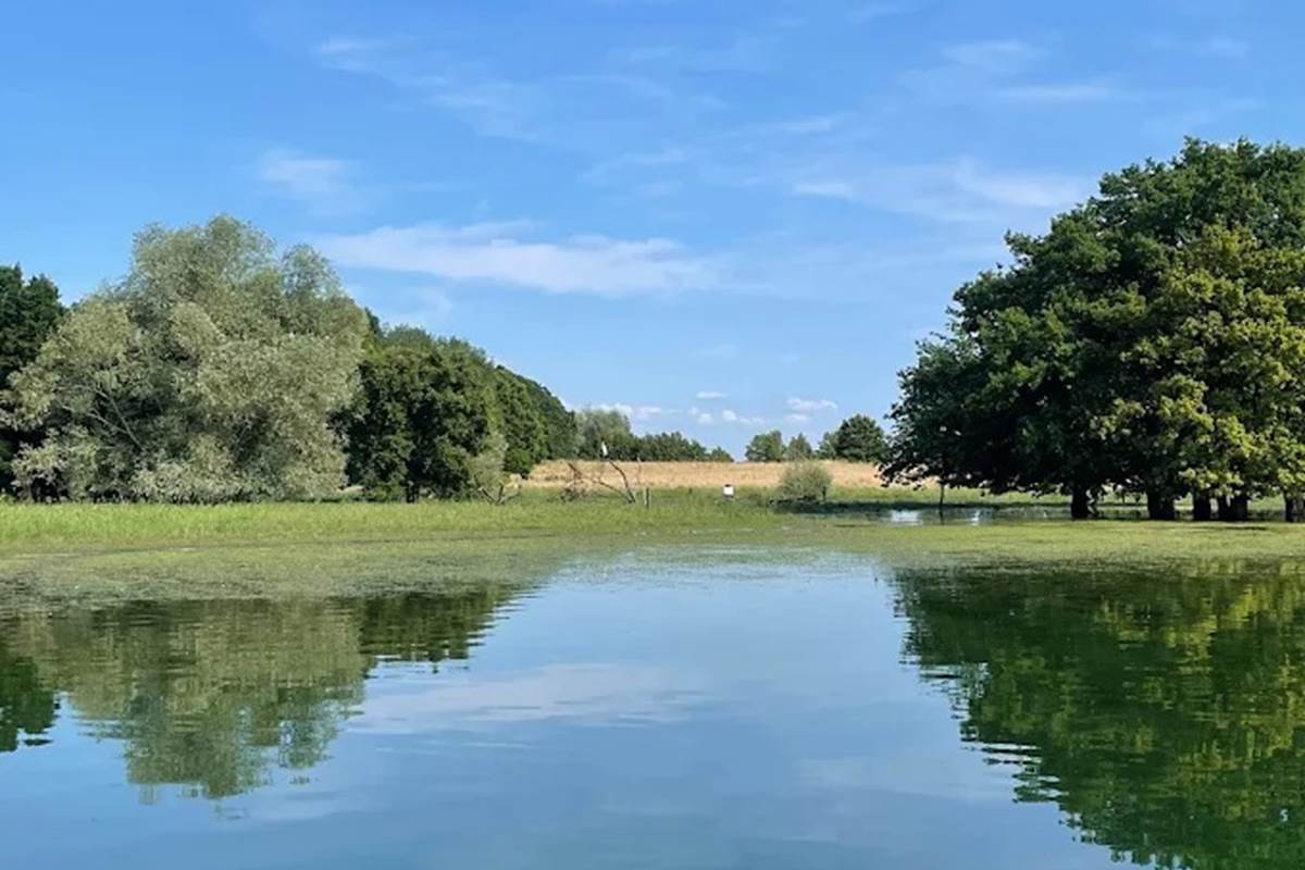 ile au moutons lac du der