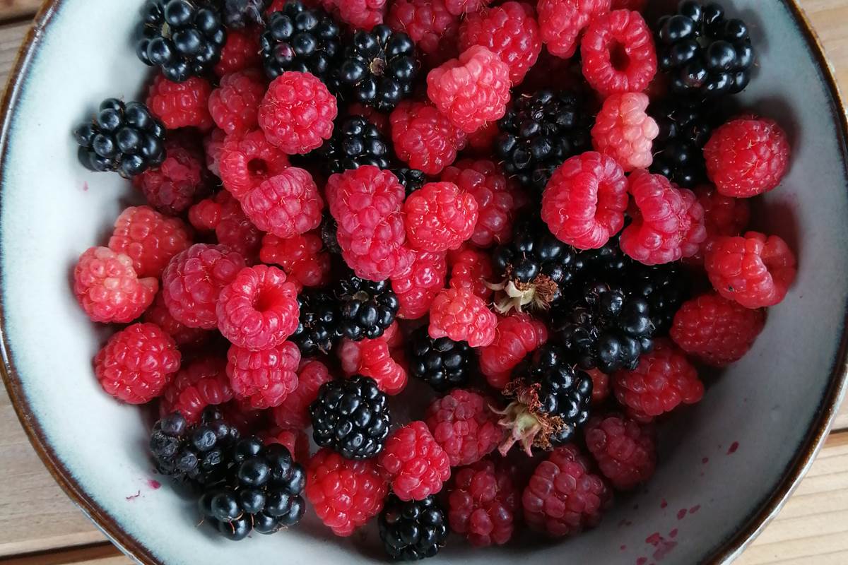 La récolte du jardin en prévision de bonnes gelées de fruits