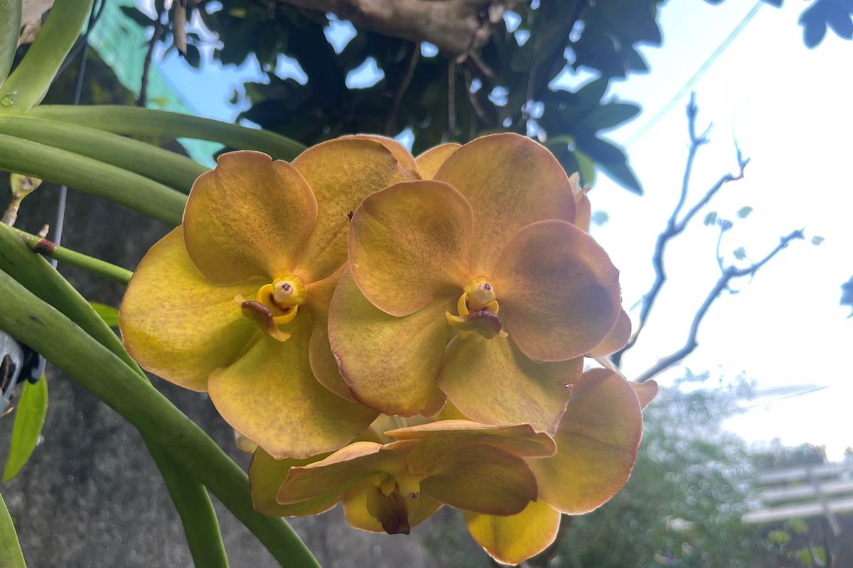 Les merveilles de la nature