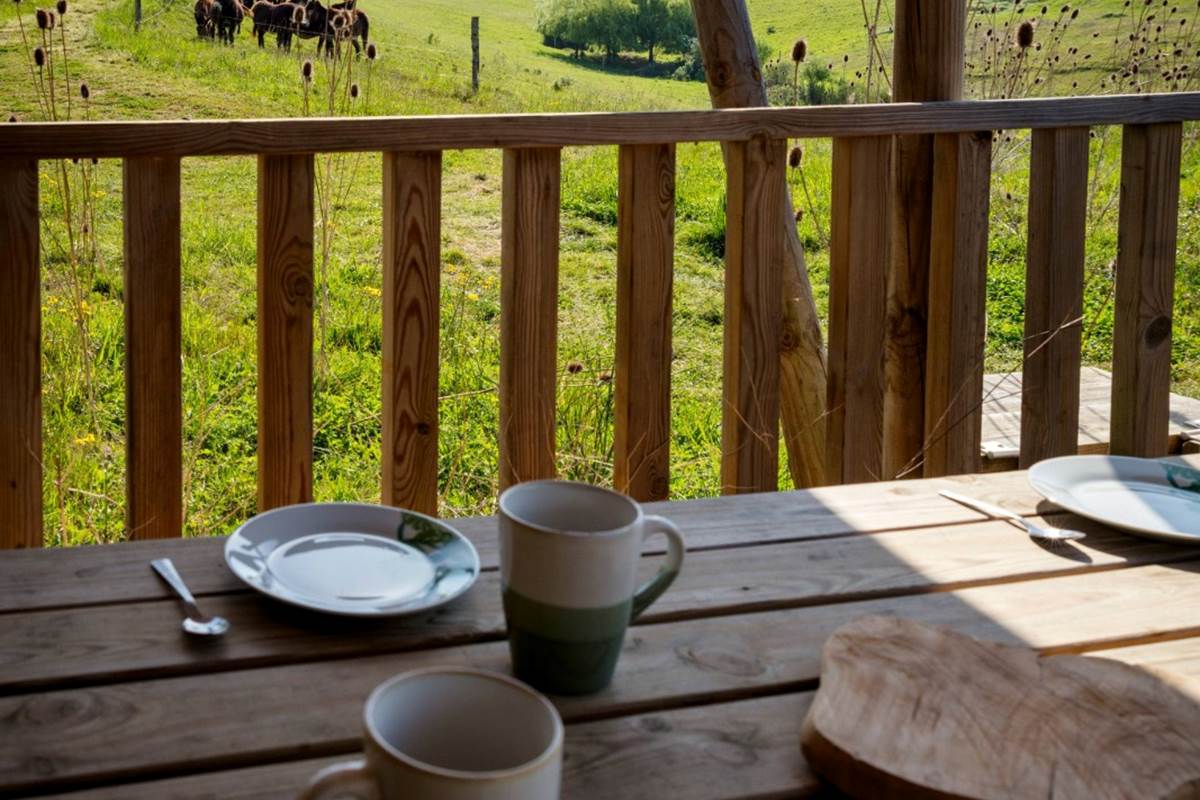 vue terrasse écolodge sunshine 2