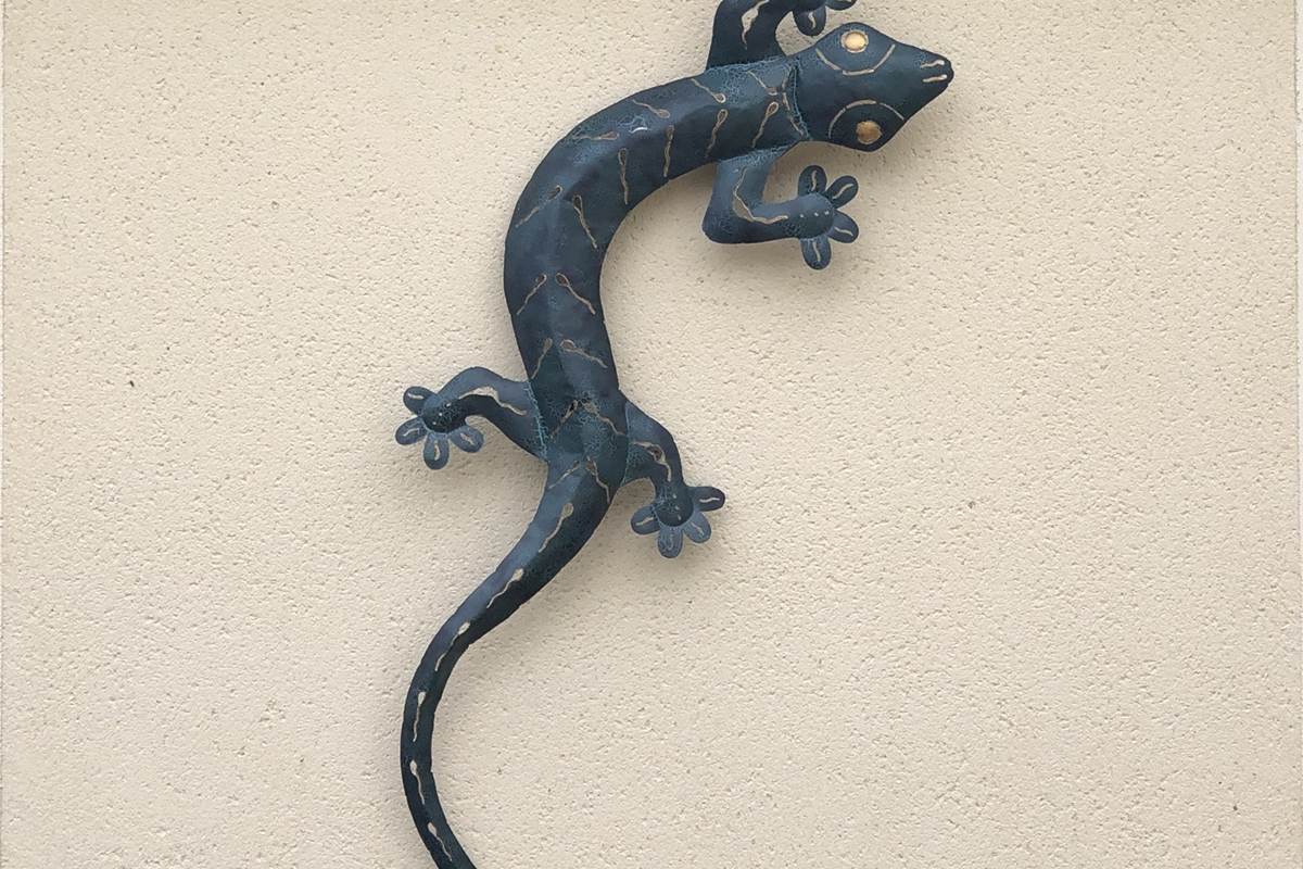 la salamandre dur le mur de la façade