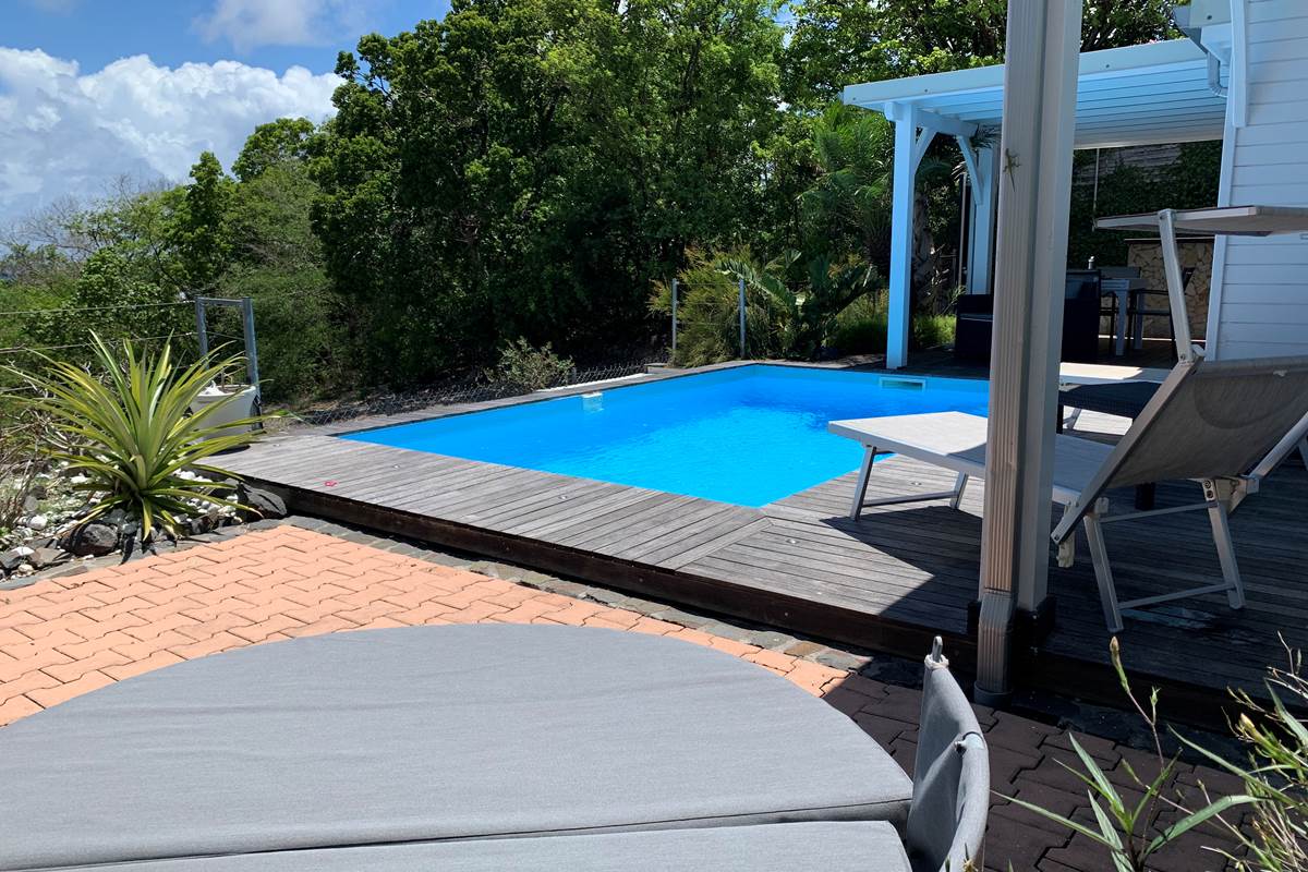 Un petit bain de soleil ou un plongeons dans la piscine ?