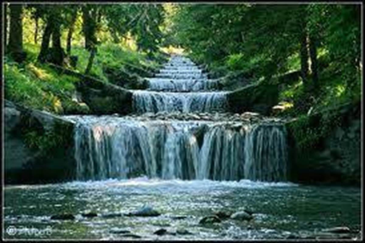 Unknown-2