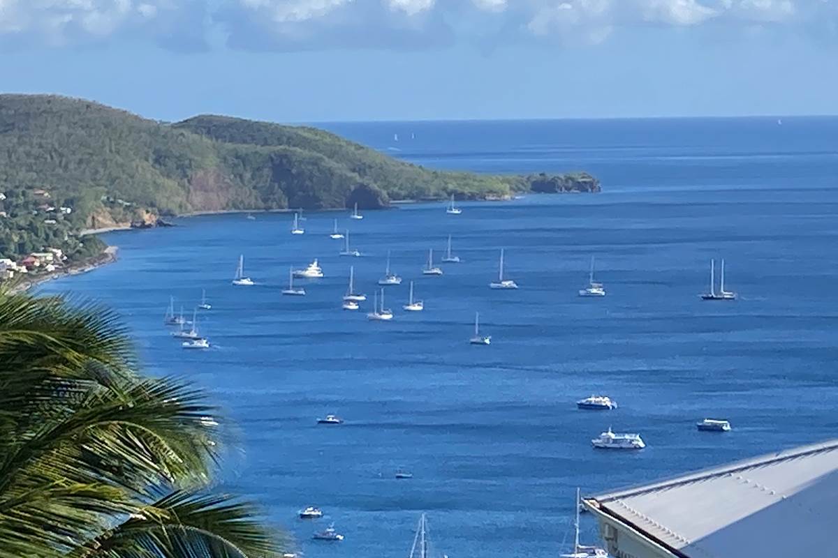 Vue depuis les logements