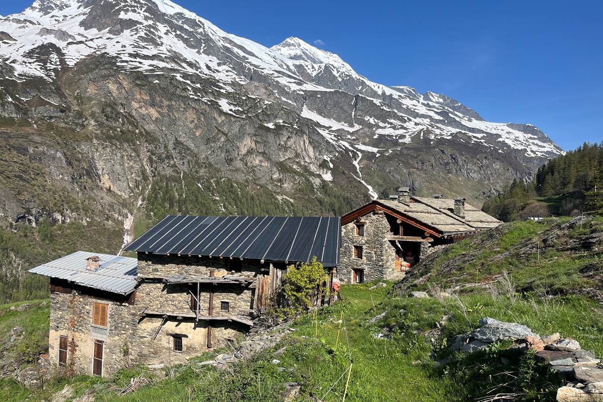 via alpina