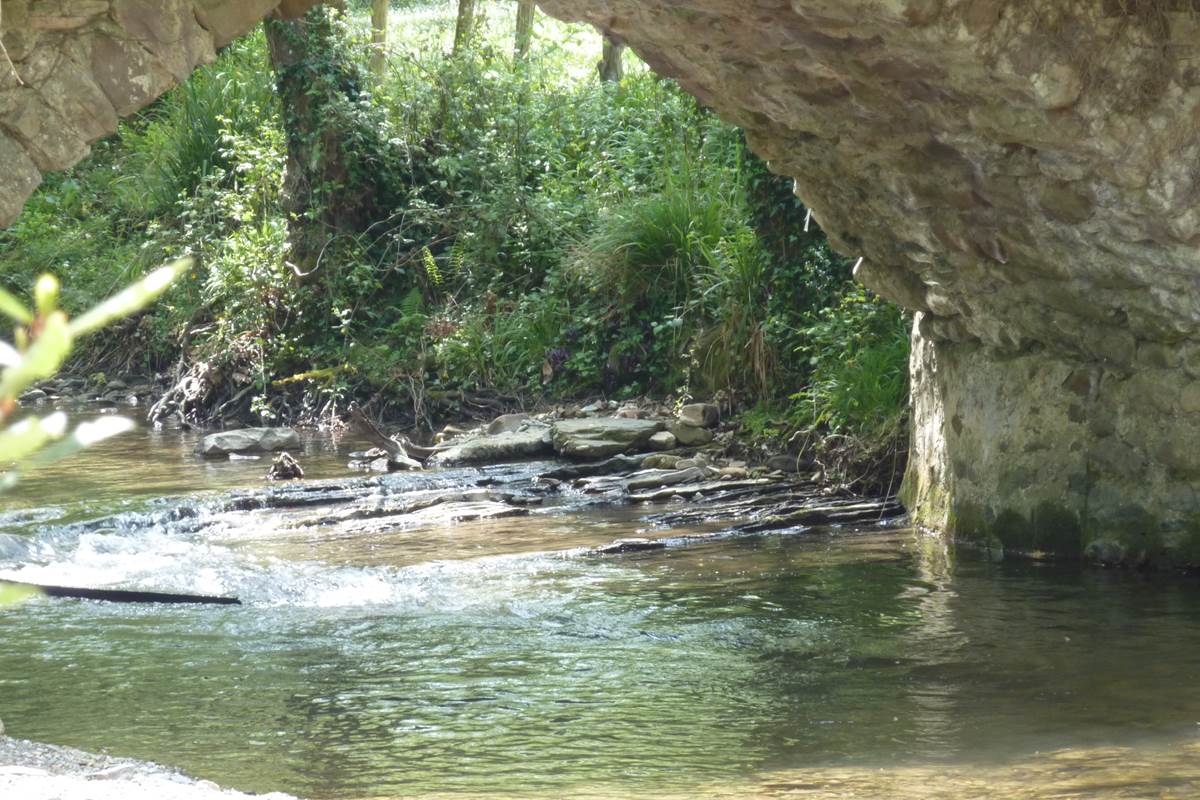 le pont de la maison