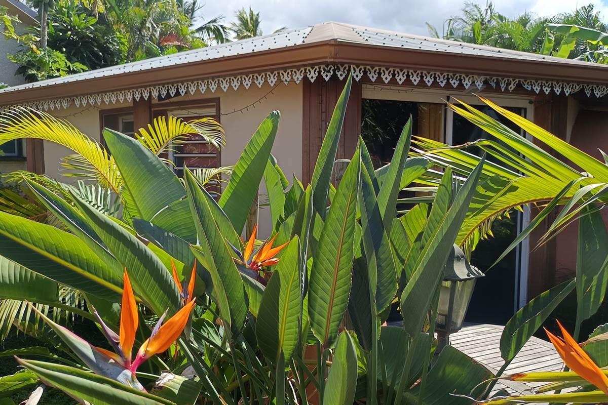façade-ti-caze-dodo-location-saisonniere-dans-un-jardin-tropical-etang-sale.jpg
