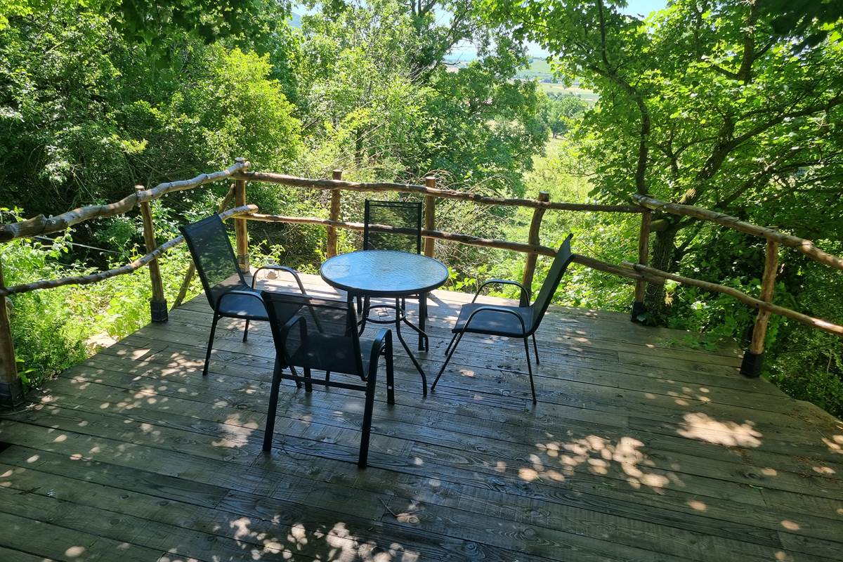 La terrasse ombragée