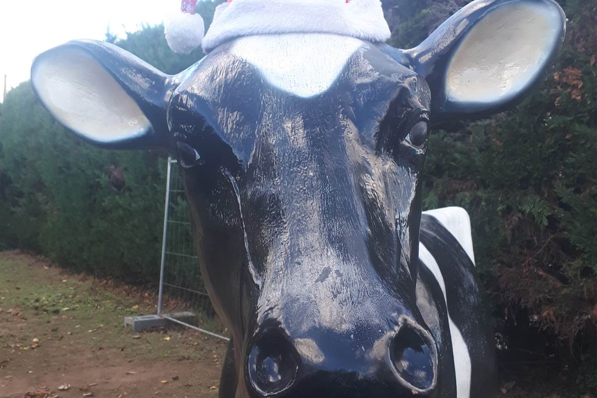 vache de noel