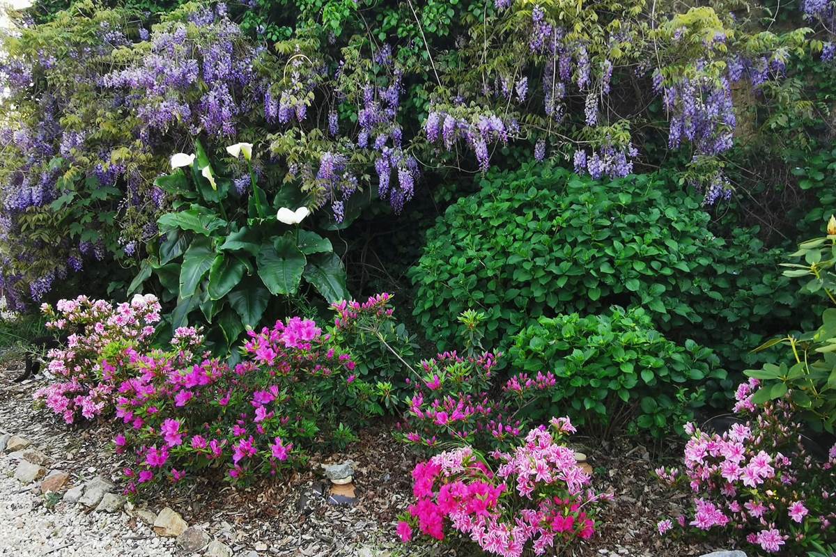 massif jardin chambre d'hôtes la rose des vents domaine de kerizel maison d'hôtes spa séjour bien être repos ressourcement anti stress burn out cure ayurvédique retraite relaxation