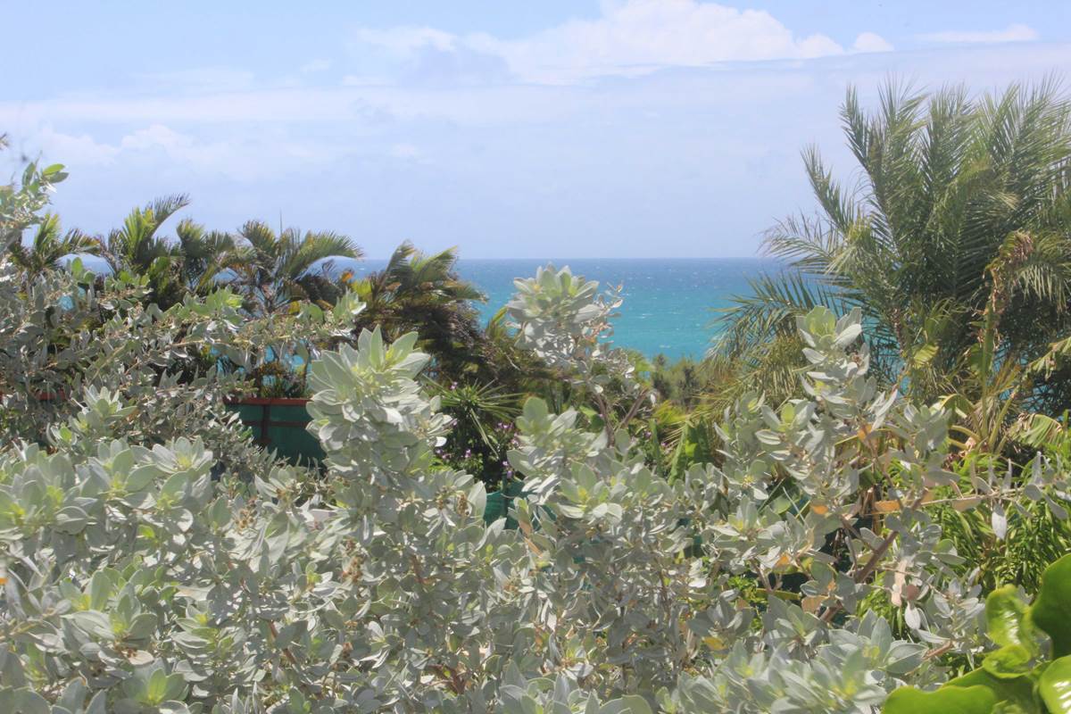 Iguane House villas & Micro Spa Villa Corail vue mer depuis le jardin paysagé