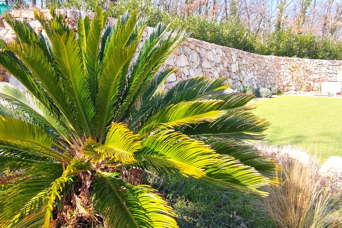 villa-maluan-villa-luxe-proche-nice-provence