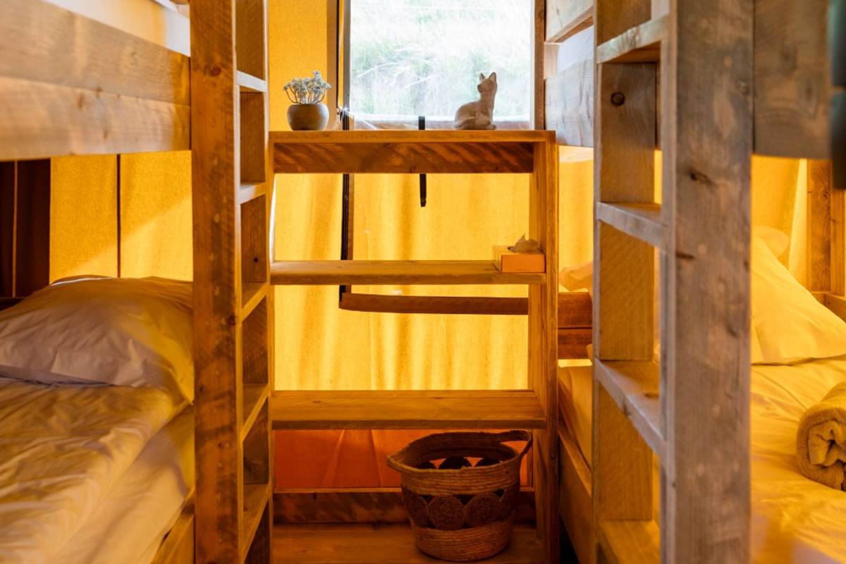 chambre lits superposés écolodge dreamer 2