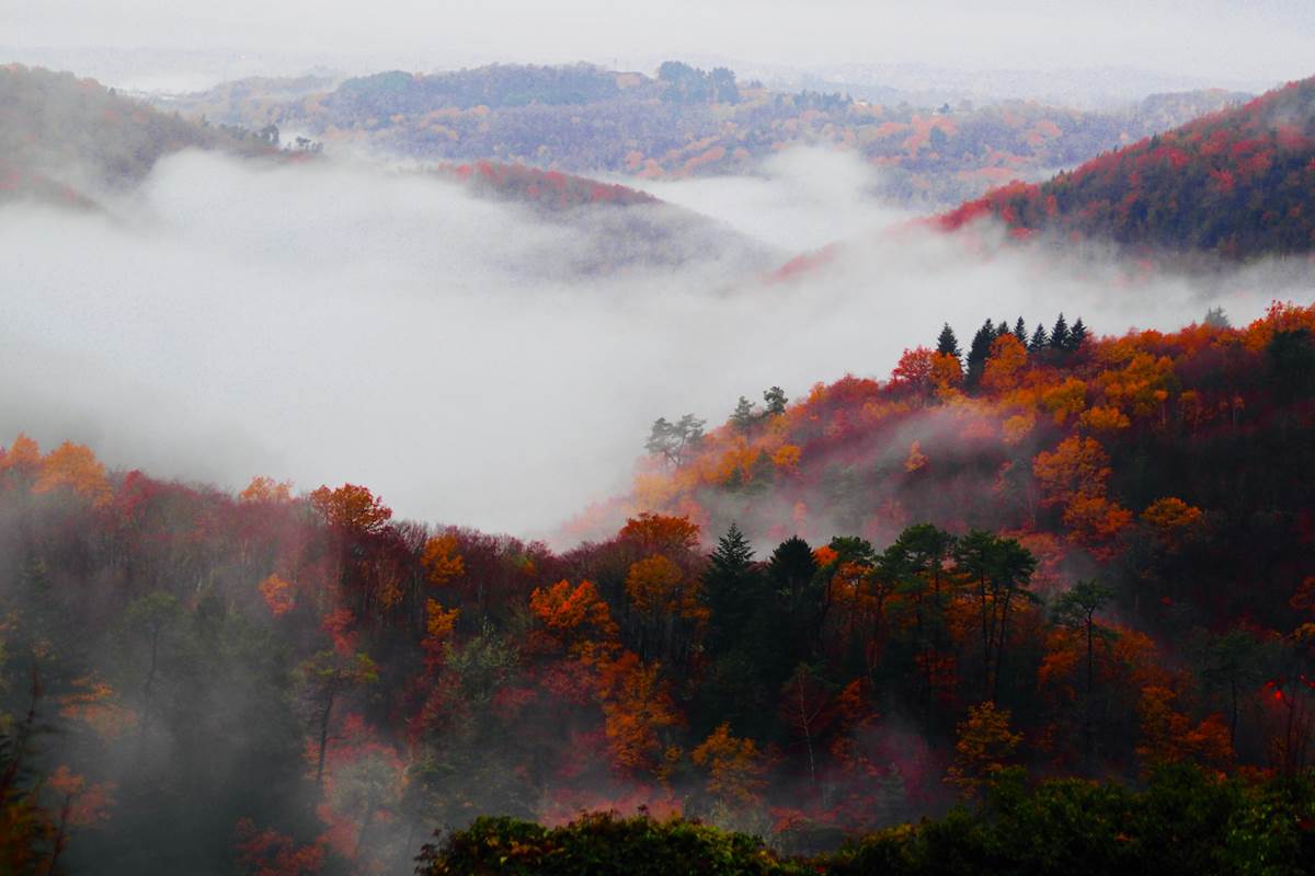 Vue d'Automne, depuis vos fenêtres : chambre 1 et salon (Gîte-Appartement), des 2 fenêtres de la chambre (Gîte-Maison).