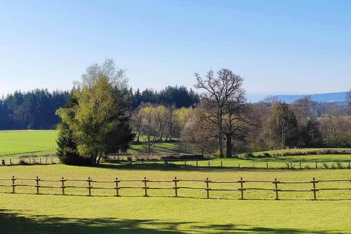 chambredhotes-campagnechic-vuedégagée-montsducantal