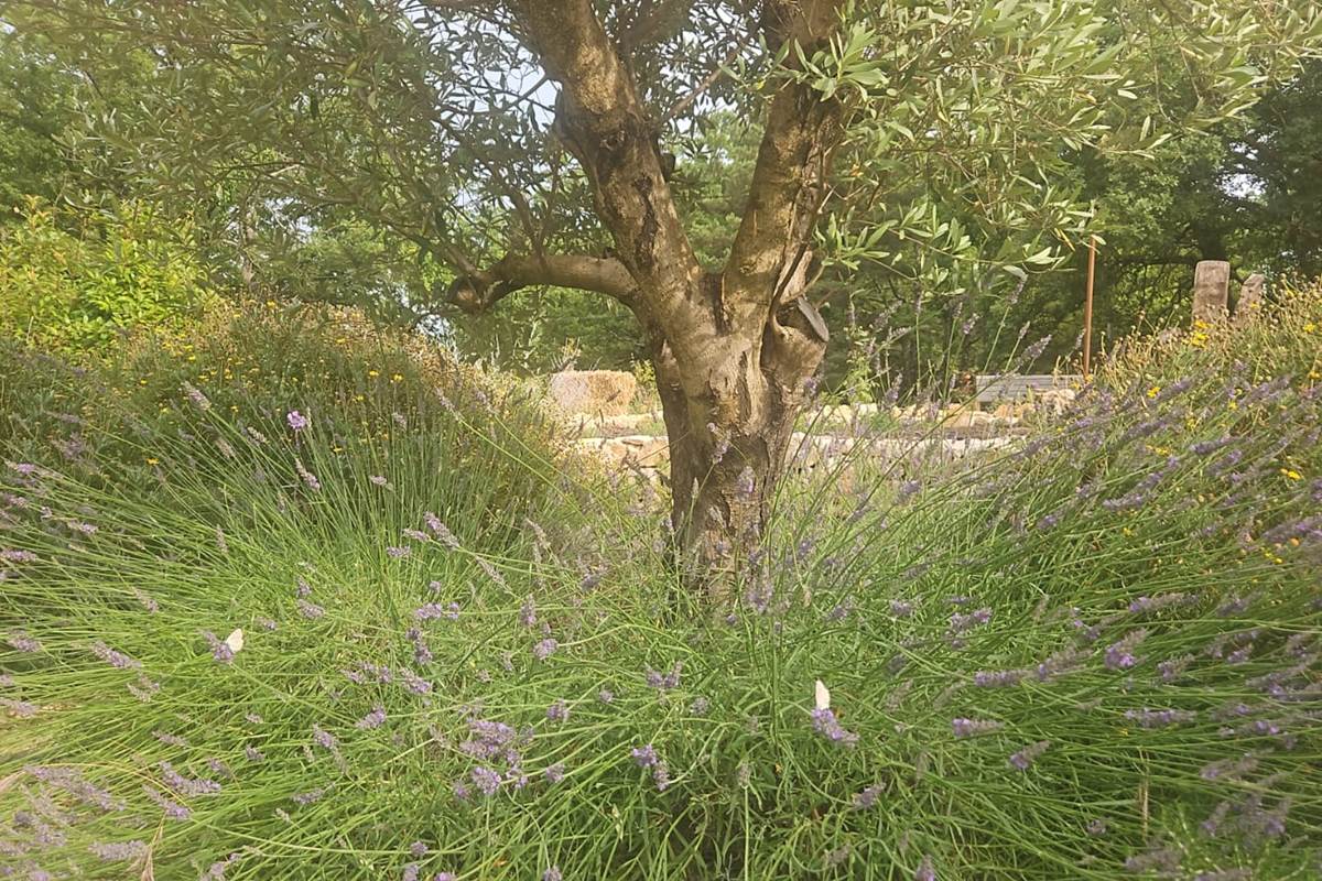 villa-maluan-location-vacances-luxe-cote-azur