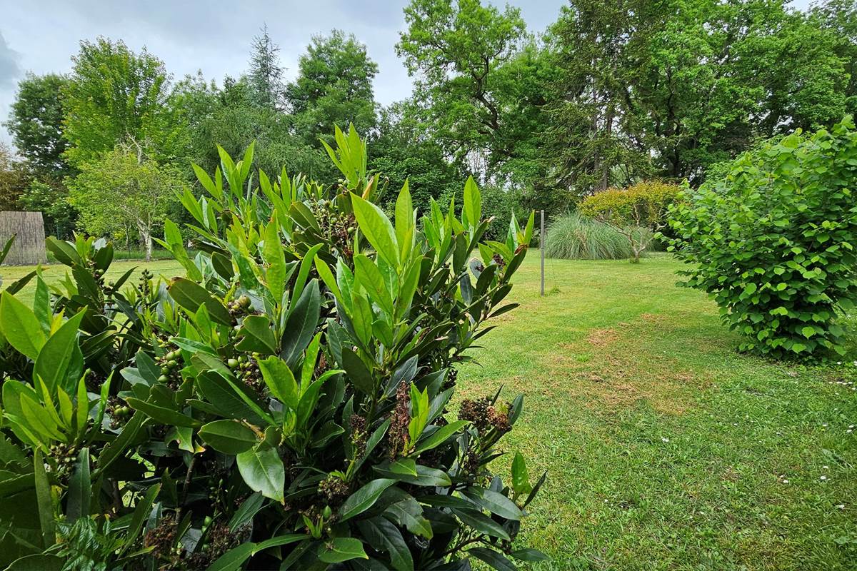 Jardin-parc-clos-arboré-détente-Le Fleix