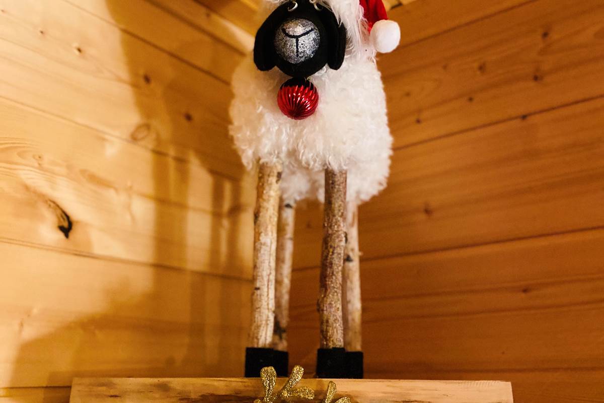 Le Hygge Chalet & Spa - 10 personnes