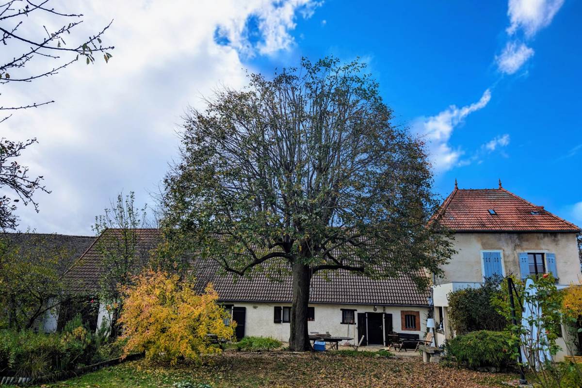 Vue arrière de la maison