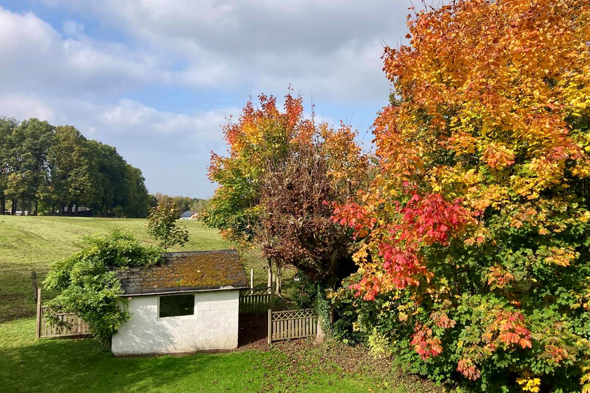 Vue d'automne sur le jardin