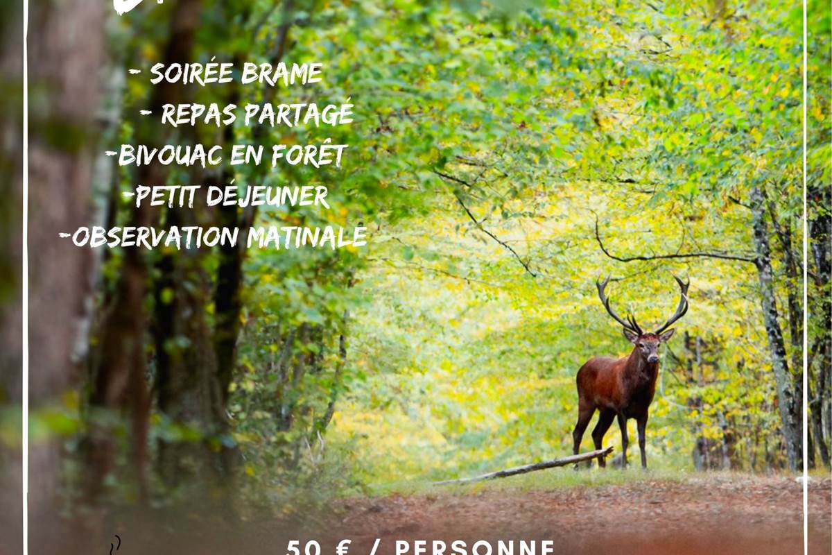 soirée bivouac VIVRE BRAME