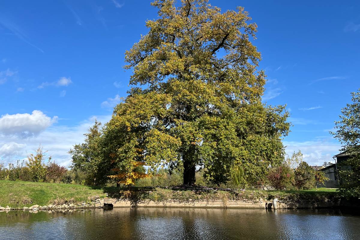 un espace naturel préservé