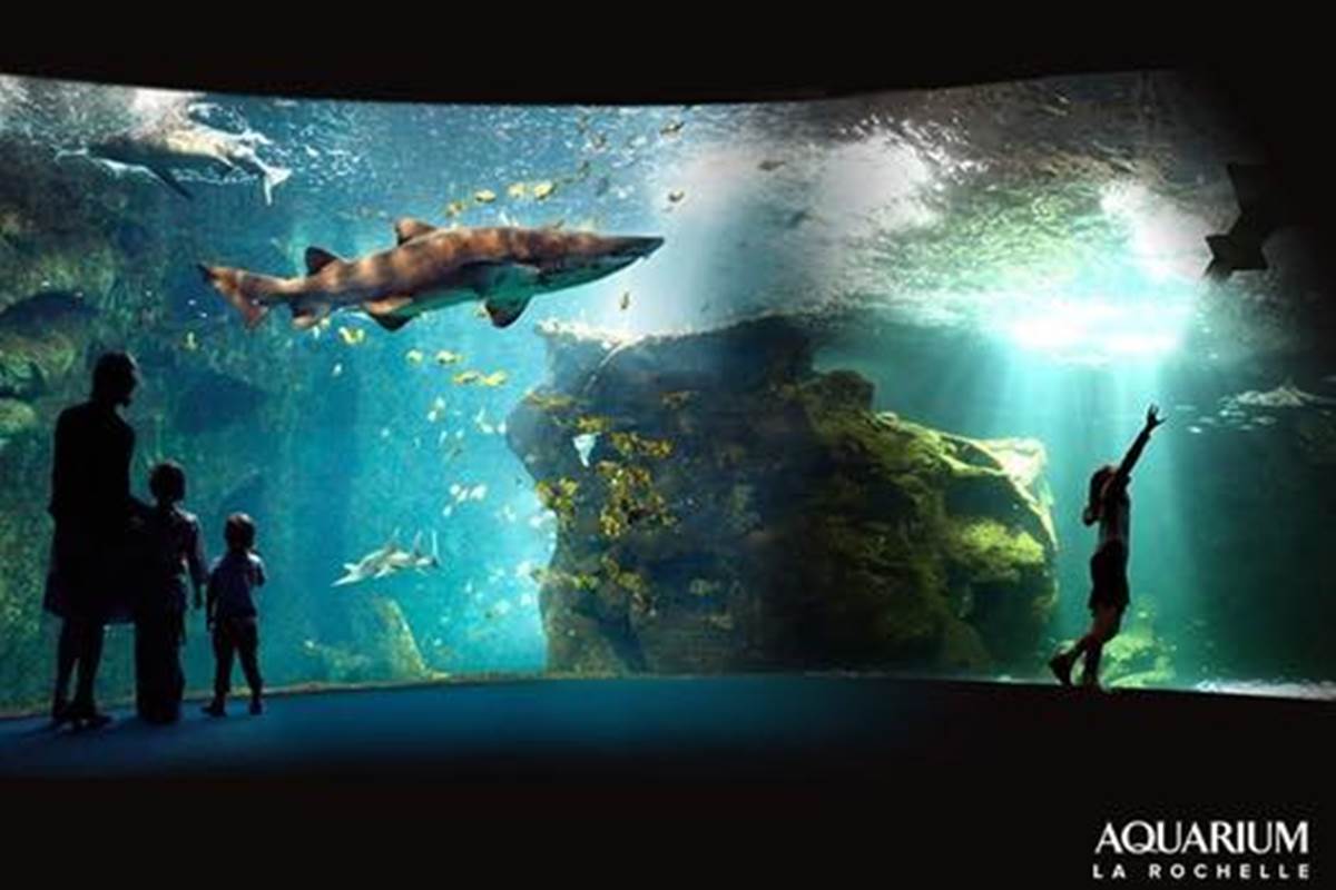 Aquarium de la Rochelle