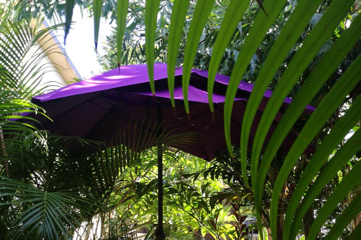 la-terrasse-ombragee-de-ti-caze-nature-dans-son-ecrin-de-verdure-la-reunion