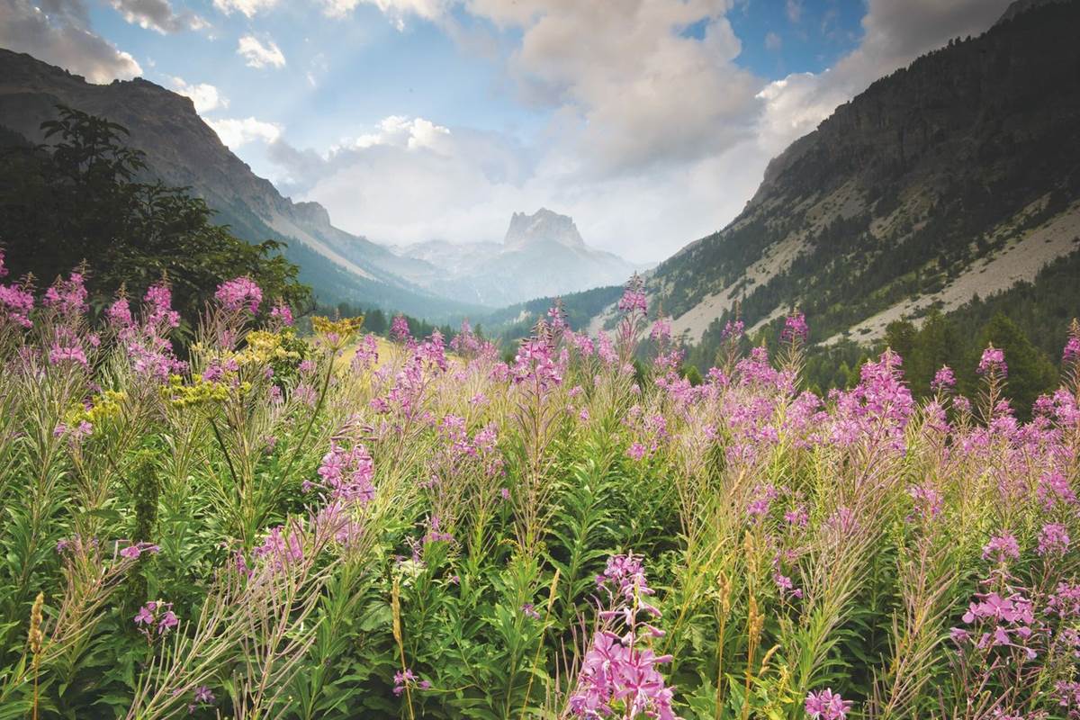 ouverture_alpes_ngt22
