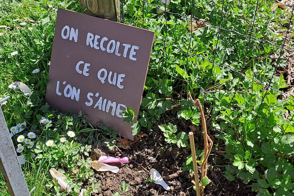 au jardin...
