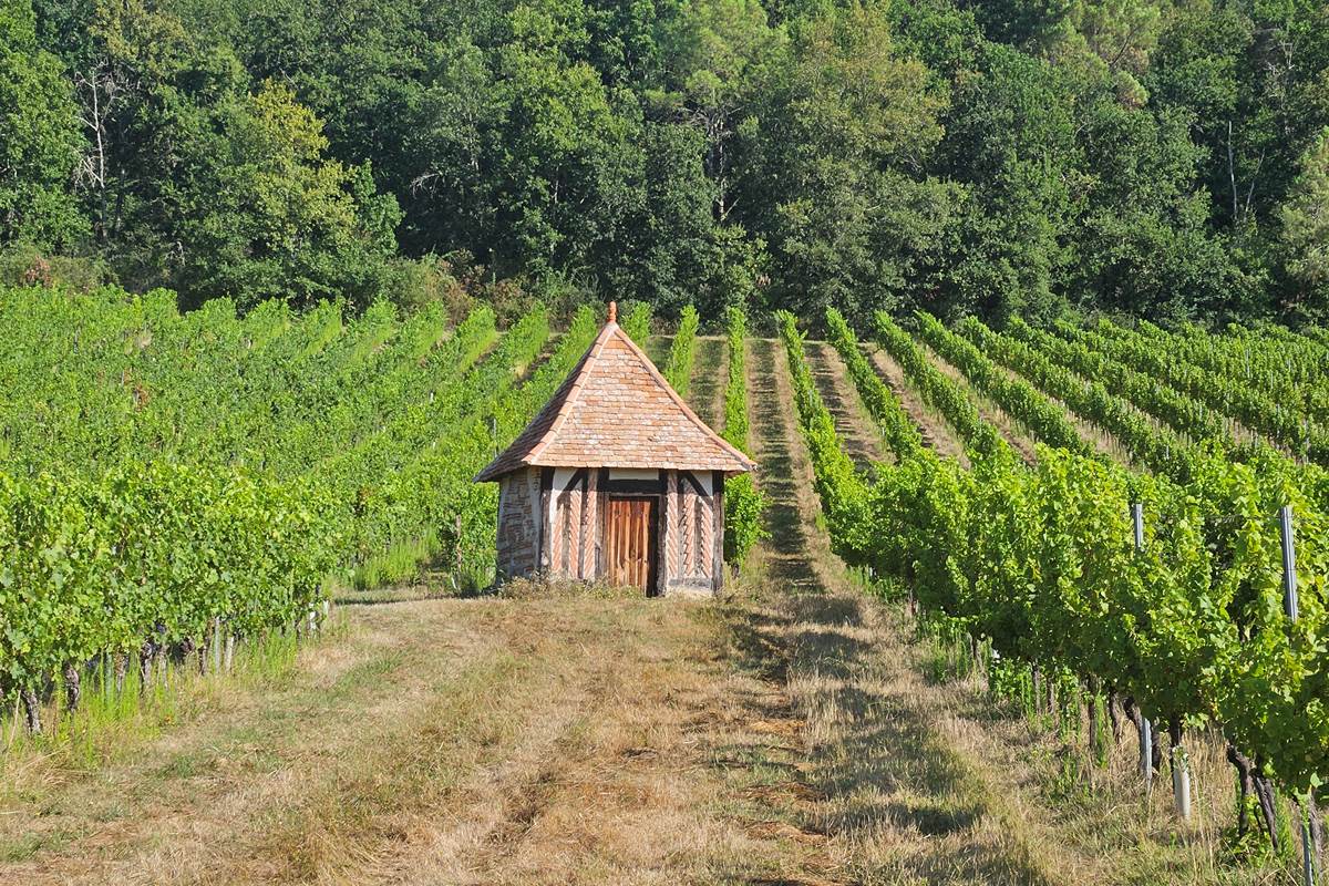 Vignoble-Bergeracois-la Vaure