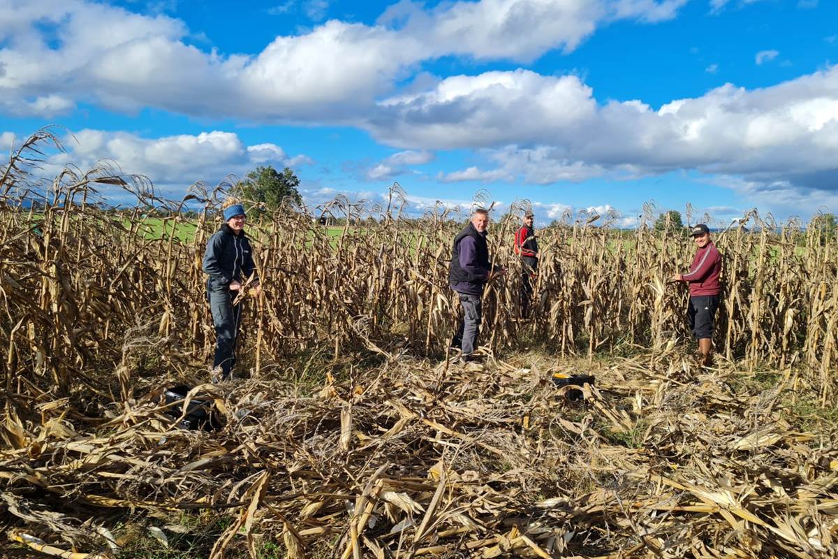 39394aa1-0b46-45c4-82f4-eeb1168dcb32